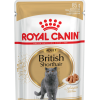 Royal Canin British в соусе